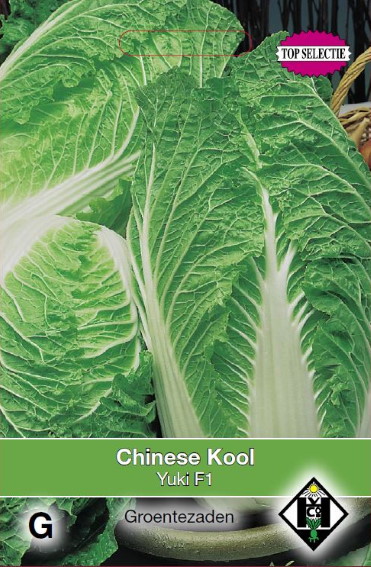 Chinese cabbage Yuki F1 (Brassica) 60 seeds HE